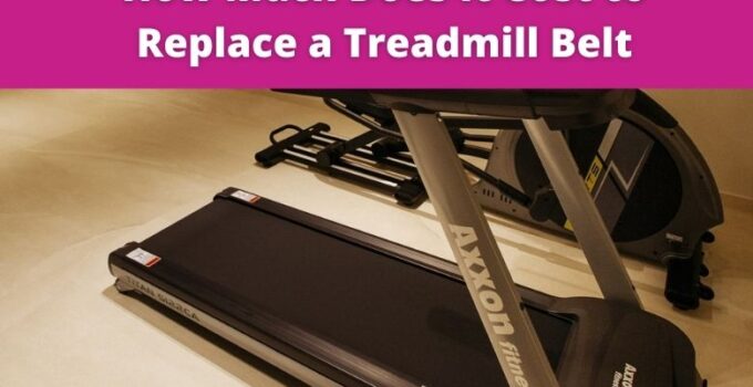 treadmill belt replacement cost